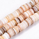 Natural Freshwater Shell Beads Strands SHEL-N003-02-2