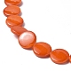 スプレー塗装天然淡水シェルビーズ連売り  フラットラウンド  オレンジ  12.5x3mm  穴：1mm  約32個/連  15.63インチ（39.7cm） SHEL-C003-05A-3