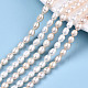 Natural Cultured Freshwater Pearl Beads Strands PEAR-S017-003-2