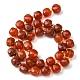 Chapelets de perles en cornaline naturelle G-Q010-A17-01-3