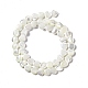 Fili di perle di conchiglia trochid naturale / trochus SHEL-F003-09-4