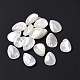 Perles de coquillage blanc naturel SSHEL-C011-06-2