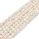 Natural Cultured Freshwater Pearl Beads Strands PEAR-E016-152-1