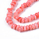 Natural Sea Shell Beads Strands SSHEL-S278-131F-3