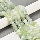 Natural New Jade Beads Strands G-G053-C02-01-2