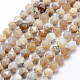 Natural Fossil Coral Beads Strands G-K209-02H-8mm-1