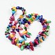 Natural Freshwater Shell Beads Strands S23YB011-2