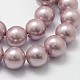 Rainbow Plated Shell Pearl Bead Strands BSHE-L025-6mm-M-4