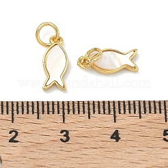 Ciondoli a forma di conchiglia bianca naturale&nbsp;KK-F926-04B