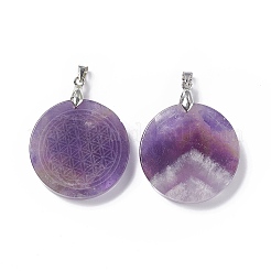 Natürlichen Amethyst Edelsteinanhänger&nbsp;G-P491-03P-01