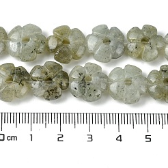 Natur Labradorit Perlen Stränge&nbsp;G-H023-B19-01