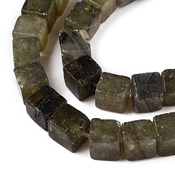 Perline labradorite naturale fili&nbsp;G-T139-6x6-19A