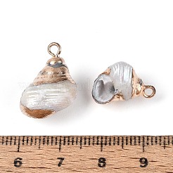Galvanisierte natürliche Muschelanhänger&nbsp;BSHE-T015-12