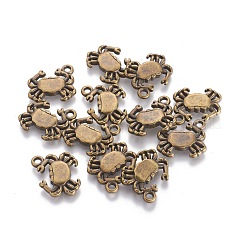 Tibetische Stil Anhänger & Charms&nbsp;TIBEB-A101934-AB-FF