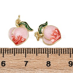 Messing Emaille Anhänger / charms&nbsp;KK-D424-16G