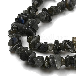 Natur Labradorit Chip Bead Stränge&nbsp;G-M205-57A