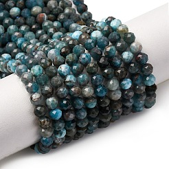 Chapelets de perles en apatite naturelle&nbsp;LS-G-A276-C08-4mm-01