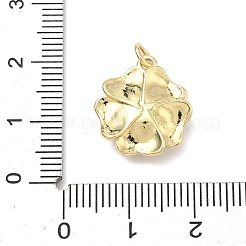 Messing Anhänger & Charms&nbsp;KK-K417-10G