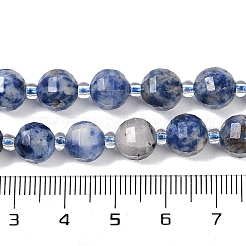 Perles de jaspe tache bleue naturelle&nbsp;G-G182-B31-03