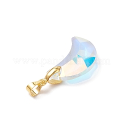 Ab Farbe überzogen Glas-Anhänger&nbsp;PALLOY-JF04595-01
