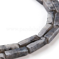 Fili di perline di larvikite nere naturali&nbsp;G-G837-17
