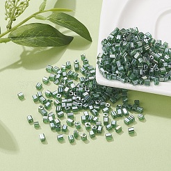 6/0 Glasperlen&nbsp;SEED-YW0001-25F