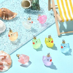 40pcs 8 couleurs pendentifs en résine transparente&nbsp;RESI-SZ0003-27