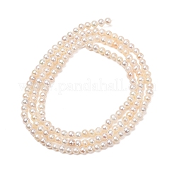 Fili di perle di perle d'acqua dolce coltivate naturali&nbsp;PA-CBABE82-08B