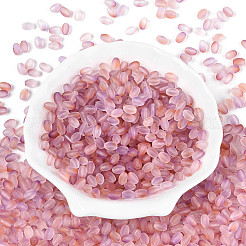 Perles de rocaille en verre dépoli&nbsp;SEED-N008-05C