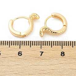 Orecchini a cerchio in ottone&nbsp;EJEW-Q016-13G
