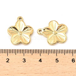 Ciondoli in acciaio inox 304&nbsp;STAS-A089-23G