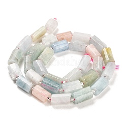 Naturperlen Stränge morganite&nbsp;G-G068-A31-01