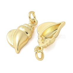 Messing Anhänger & Charms&nbsp;KK-K298-06G