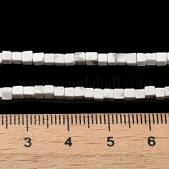 Natürliche Howlith Perlen Stränge&nbsp;G-B064-A12