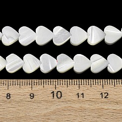 Natürliche Trochidschale / Trochusschalenperlenstränge&nbsp;SH-CBA2978-19B