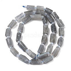 Natur Labradorit Perlen Stränge&nbsp;G-C270-K19-01