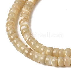 Natürliche Trochidschale / Trochusschalenperlenstränge&nbsp;SSHEL-S266-019B-03