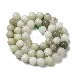Natürliche Jade Perlen Stränge&nbsp;G-H298-A16-05