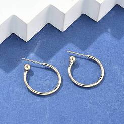 Orecchini in ottone&nbsp;EJEW-L245-001LG