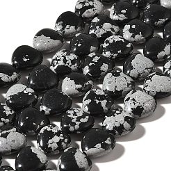 Naturschneeflocke Obsidian Perlen Stränge&nbsp;X-G-R190-10mm-51