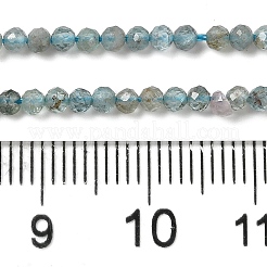 Natürliche Apatit Perlen Stränge&nbsp;G-C137-A01-01