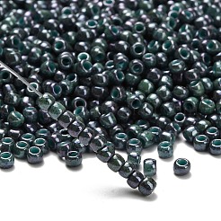 Perles rondes Toho 6/0&nbsp;SEED-TR06-1207