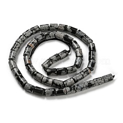 Natur Schneeflocken-Obsidian Steinperlen Stränge&nbsp;G-Q1008-A02