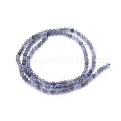 Natürliche Cordierit / Iolith / Dichroit Perlenstränge&nbsp;G-E411-39-2mm