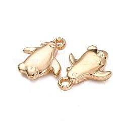 Pendentifs en plastique CCB&nbsp;CCB-I006-03KCG