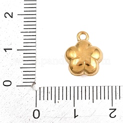 Pendentifs en acier inoxydable 304&nbsp;STAS-D264-04B-G