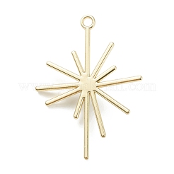 Pendente in lega&nbsp;X-PALLOY-E580-05LG