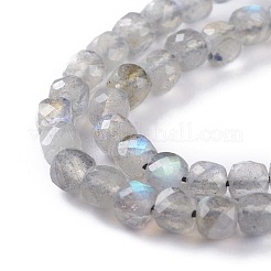 Natur Labradorit Perlen Stränge&nbsp;G-A026-B03-4mm