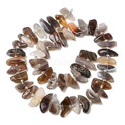 Natur Botswana Achat Perlen Stränge&nbsp;G-L649-A06-01