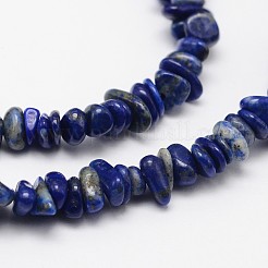 Chips natürliche Lapislazuli Perlen Stränge&nbsp;X-G-N0164-46